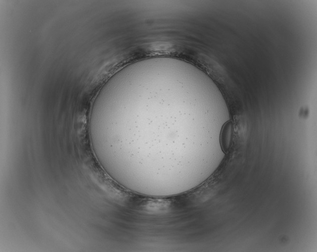 X0000111430369200907271111