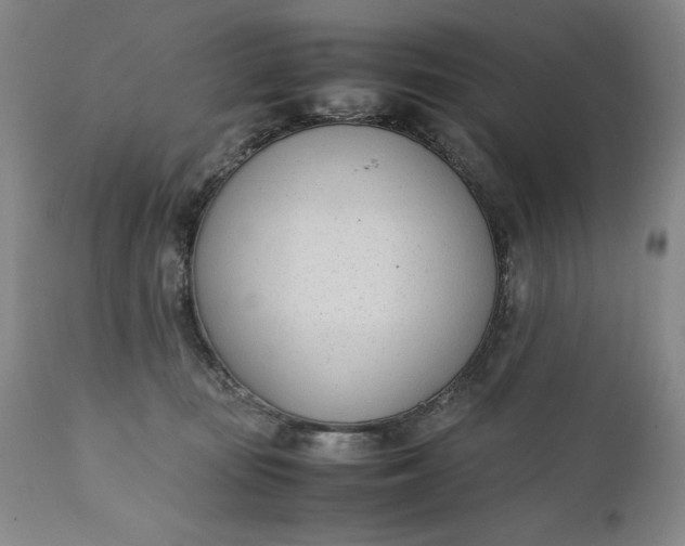 X0000111430371200907271111