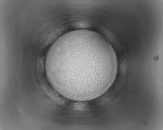 X0000111430373200907271111