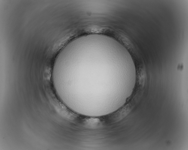 X0000111430374200907271111