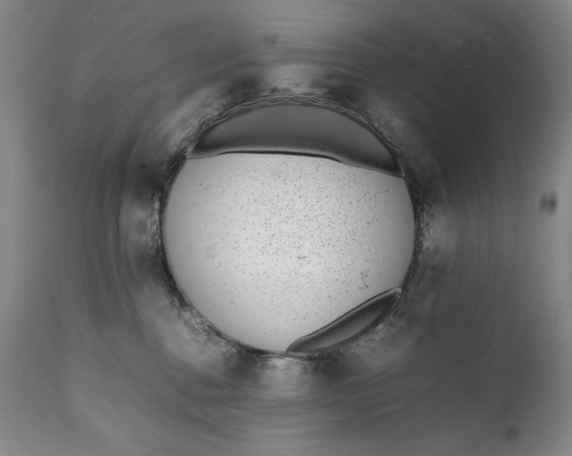 X0000111430376200907271111