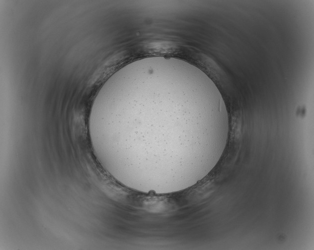 X0000111430377200907271111