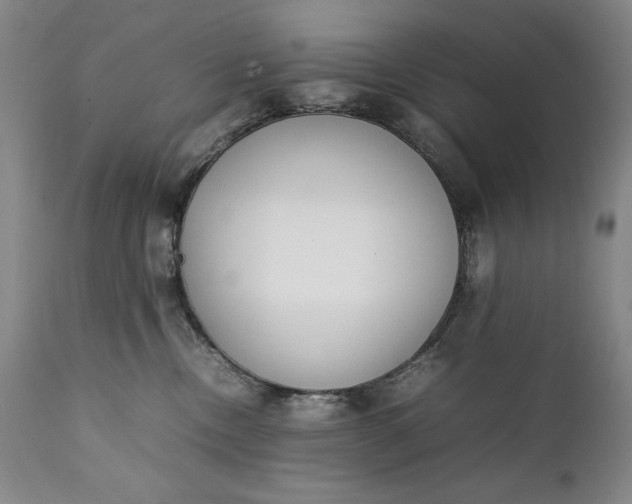 X0000111430378200907271111