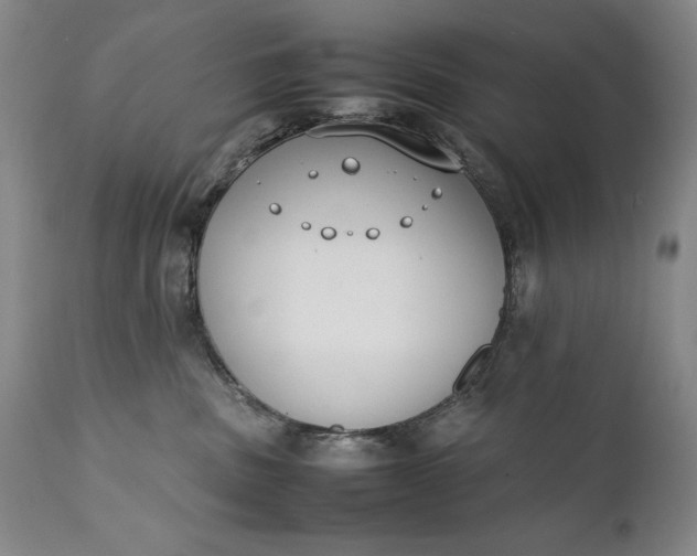 X0000111430379200907271111