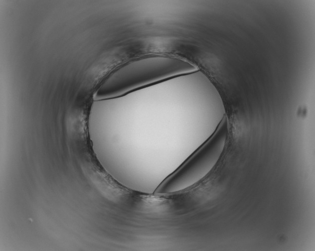 X0000111430380200907271111