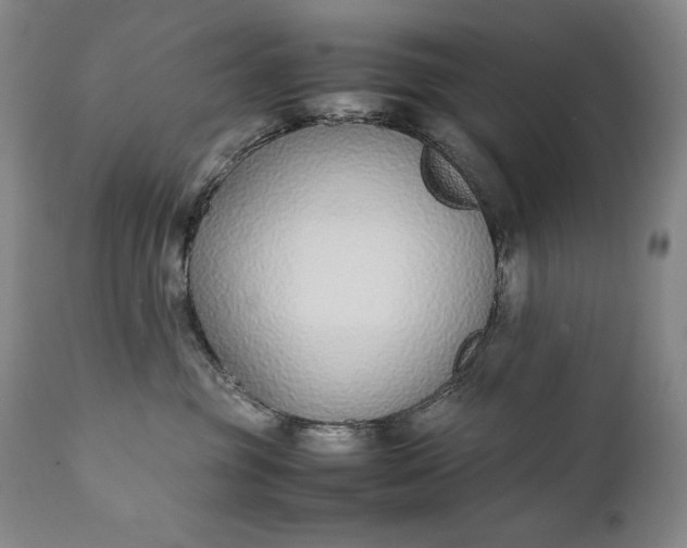 X0000111430381200907271111