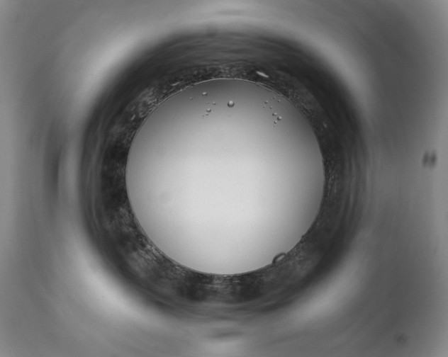 X0000111430383200907271111