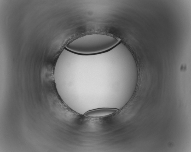 X0000111430384200907271111