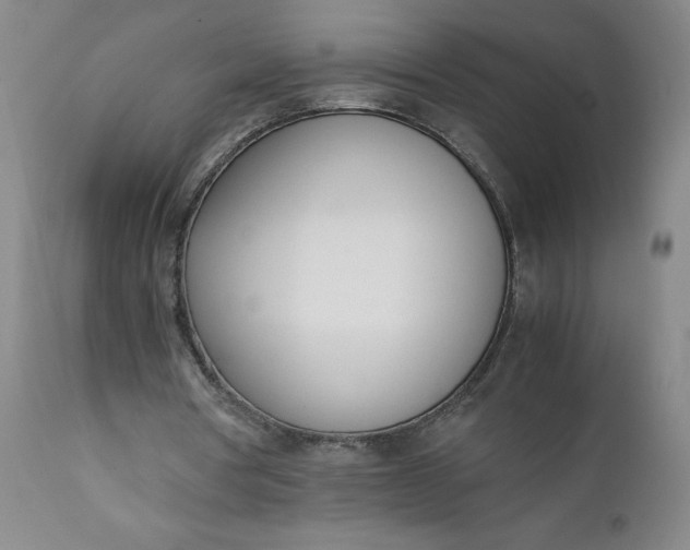 X0000111430386200907271110