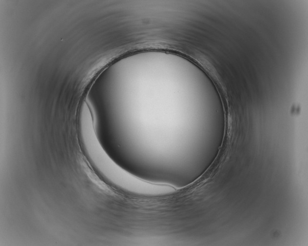 X0000111430389200907271110