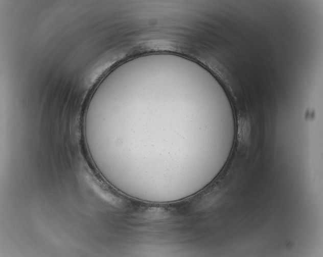 X0000111430390200907271110