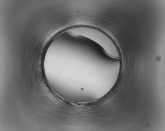 X0000111430391200907271110