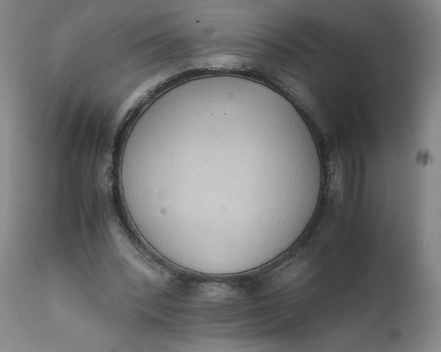 X0000111430392200907271110