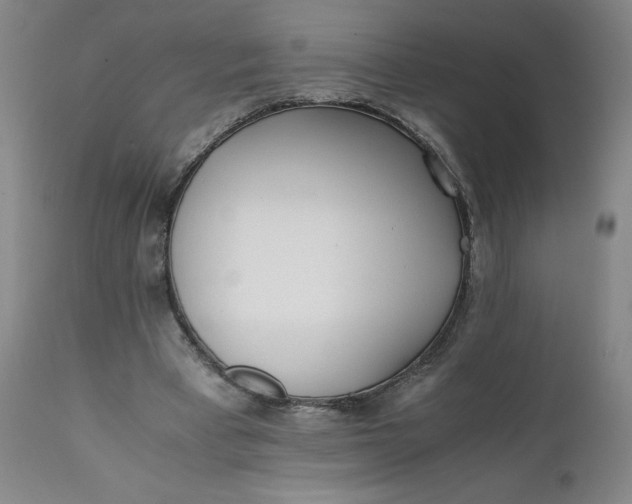 X0000111430393200907271110