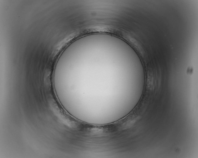 X0000111430394200907271110