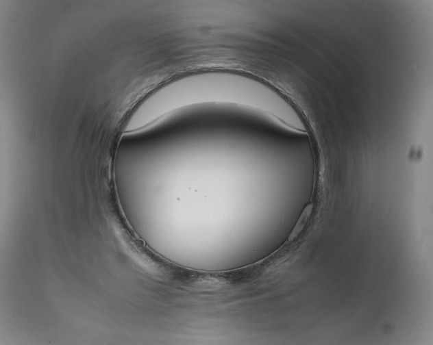 X0000111430397200907271110