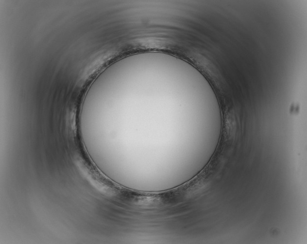 X0000111430398200907271110