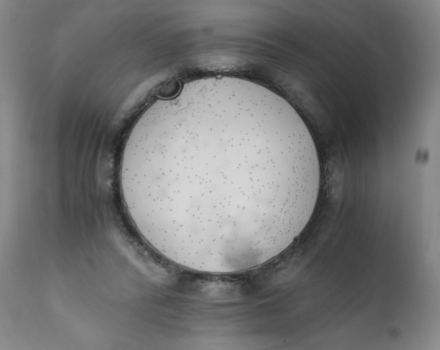 X0000111430400200907271110