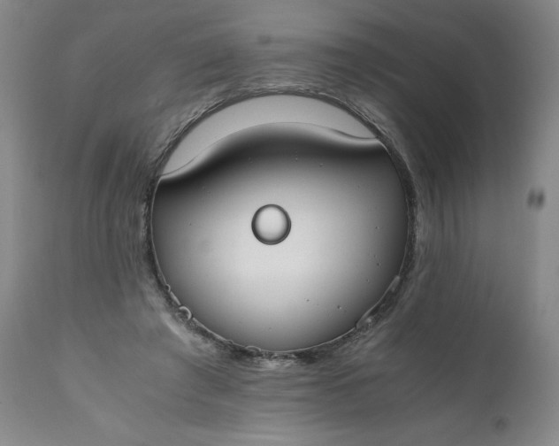 X0000111430401200907271110