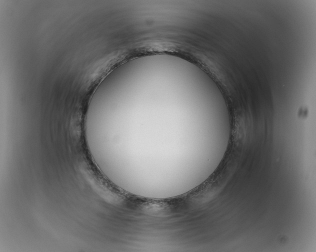 X0000111430402200907271110