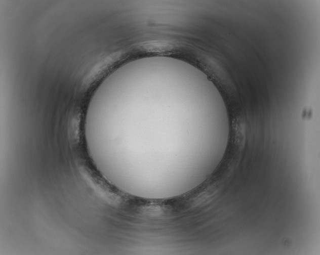 X0000111430404200907271110