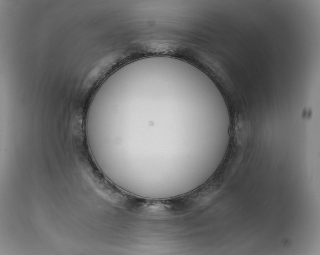 X0000111430407200907271110