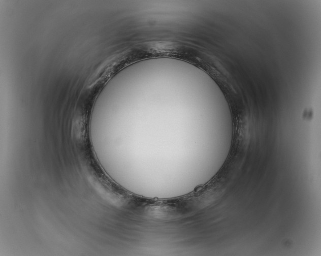 X0000111430408200907271110