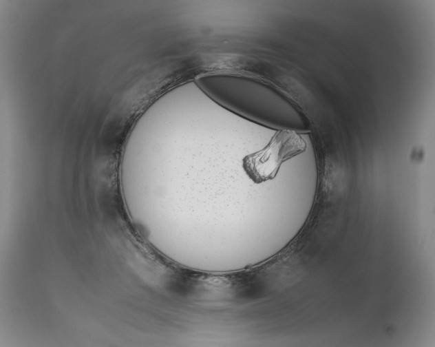 X0000111430409200907271110