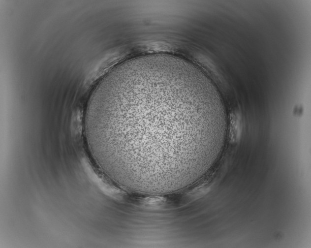 X0000111430410200907271110