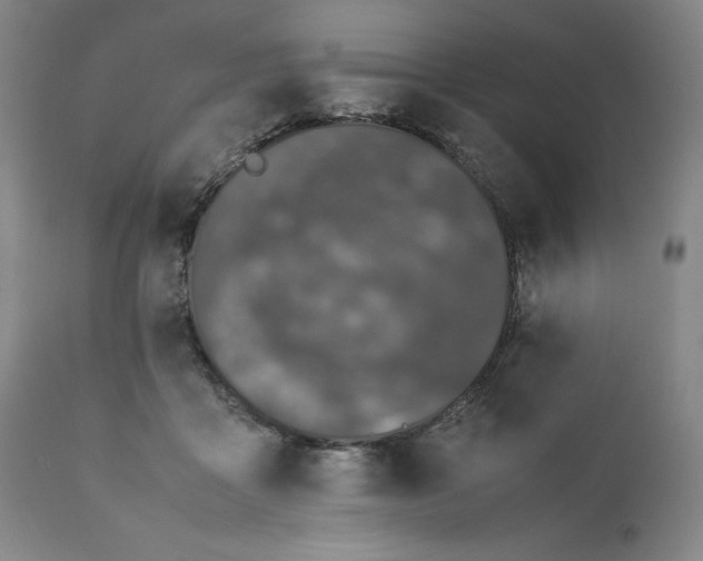 X0000111430411200907271110