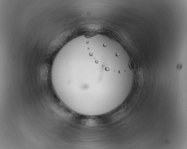 X0000111430412200907271110