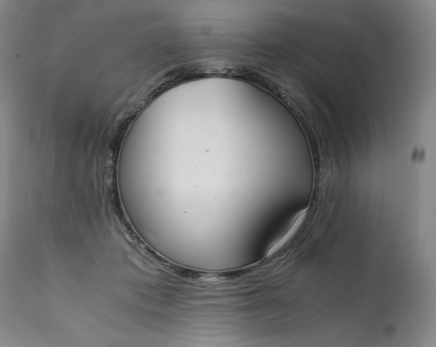 X0000111430413200907271110