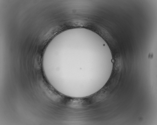 X0000111430414200907271110