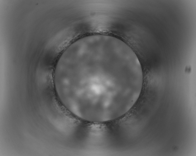 X0000111430415200907271110