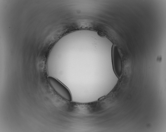 X0000111430417200907271110