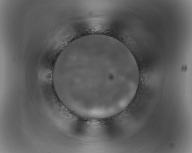 X0000111430419200907271109