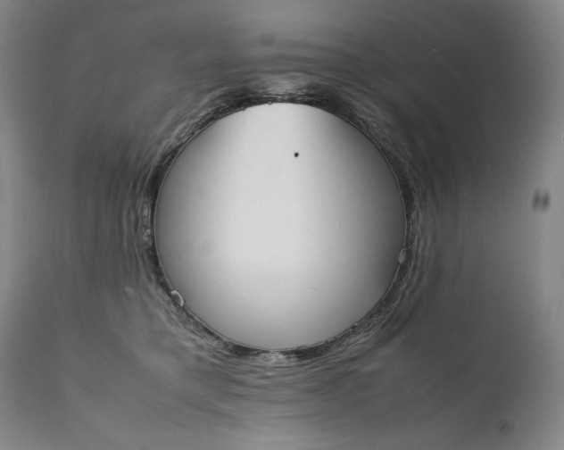 X0000111430421200907271109