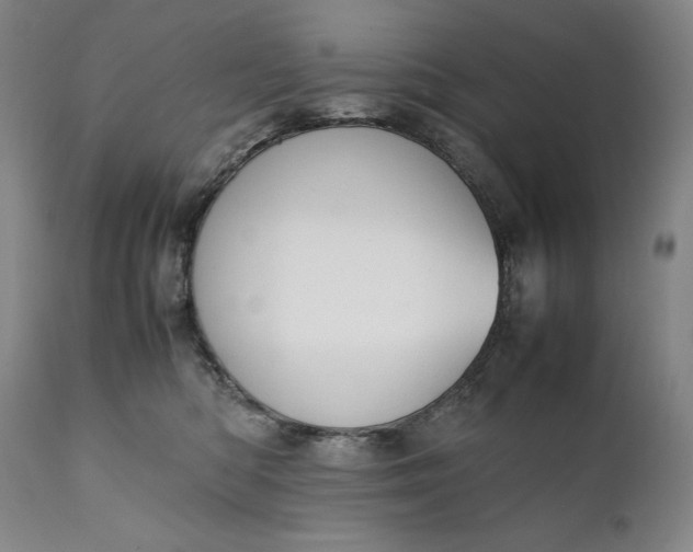 X0000111430422200907271109