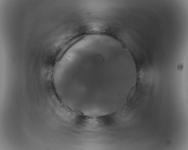 X0000111430423200907271109