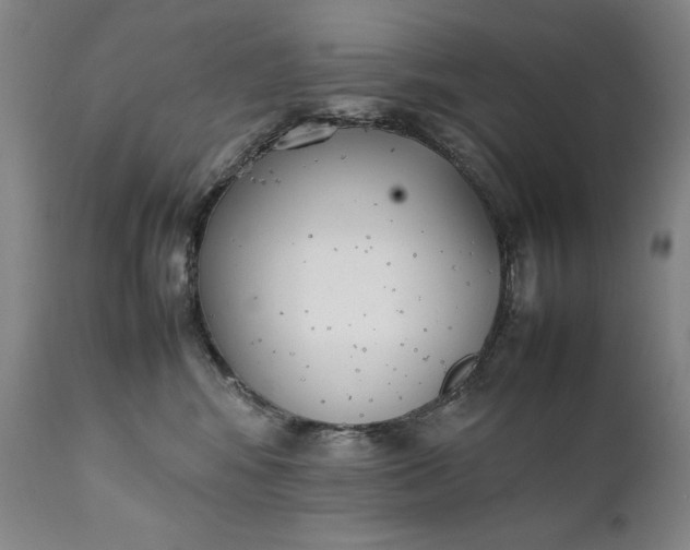 X0000111430424200907271109