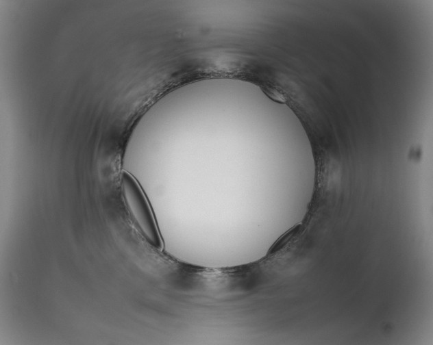 X0000111430425200907271109