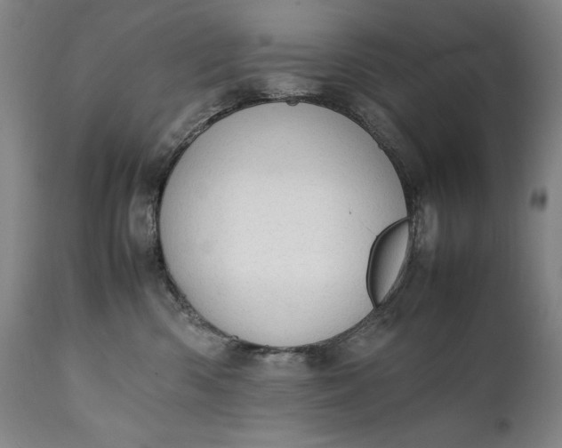 X0000111430426200907271109