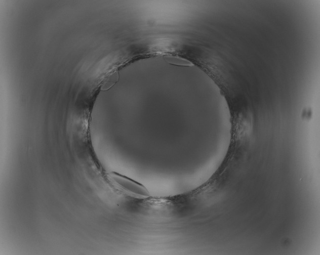 X0000111430427200907271109