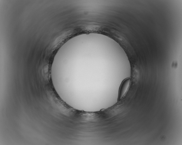 X0000111430428200907271109