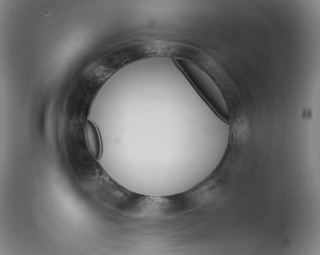 X0000111430429200907271109