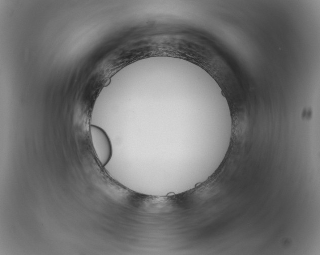 X0000111430431200907271109