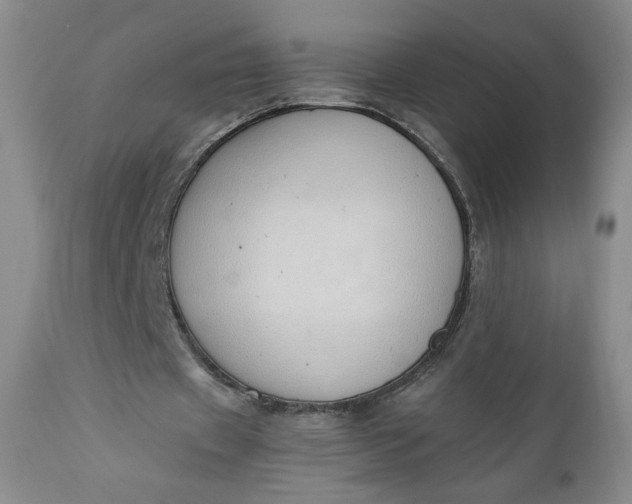 X0000111430433200907271109