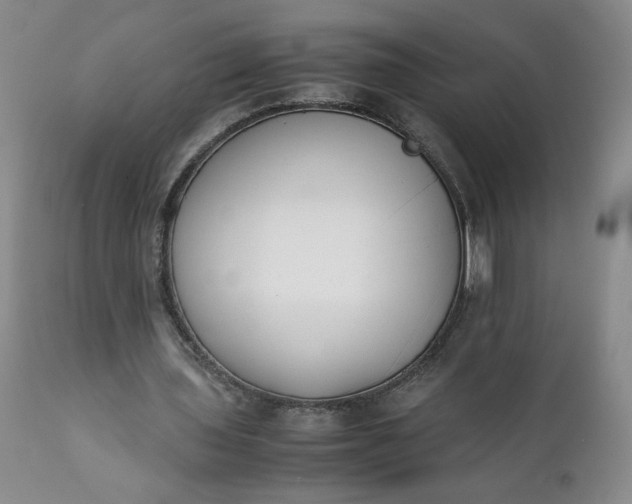 X0000111430435200907271109