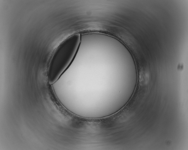 X0000111430436200907271109