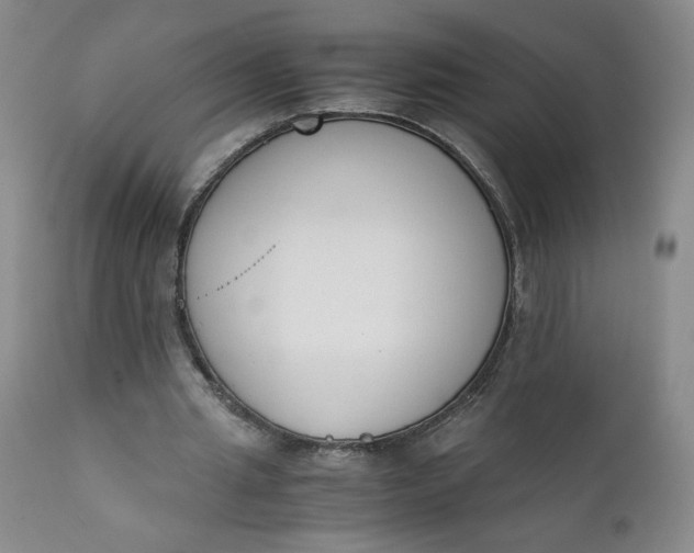 X0000111430437200907271109